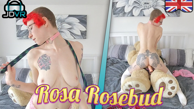 The Bing Bear Bonk - Rosa Rosebud